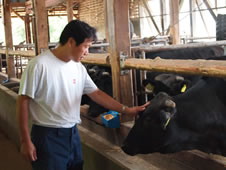 すき亭用の牛を肥育する月岡昭二さん(長野県認定食肉マイスター)